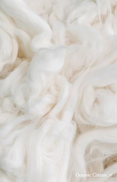 Organic Cotton Fabric